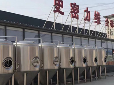 莱芜精酿啤酒设备厂—市场规模与跨界新需求
